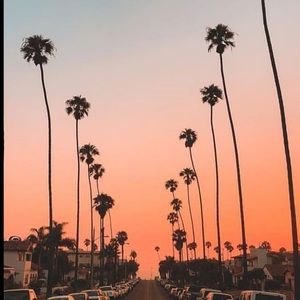 Meet your Posher, Aubrey